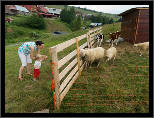 Bachledova dolina, thumbnail 15 of 36, 2012, IMG_0820.jpg (380,407 kB)