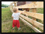 Bachledova dolina, thumbnail 18 of 36, 2012, IMG_0824.jpg (418,862 kB)