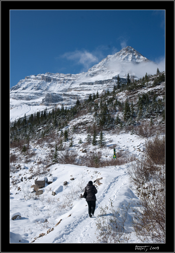Mount Whyte - Banff, AB, photo 35 of 217, 2009, 035-_DSC5642.jpg (294,269 kB)