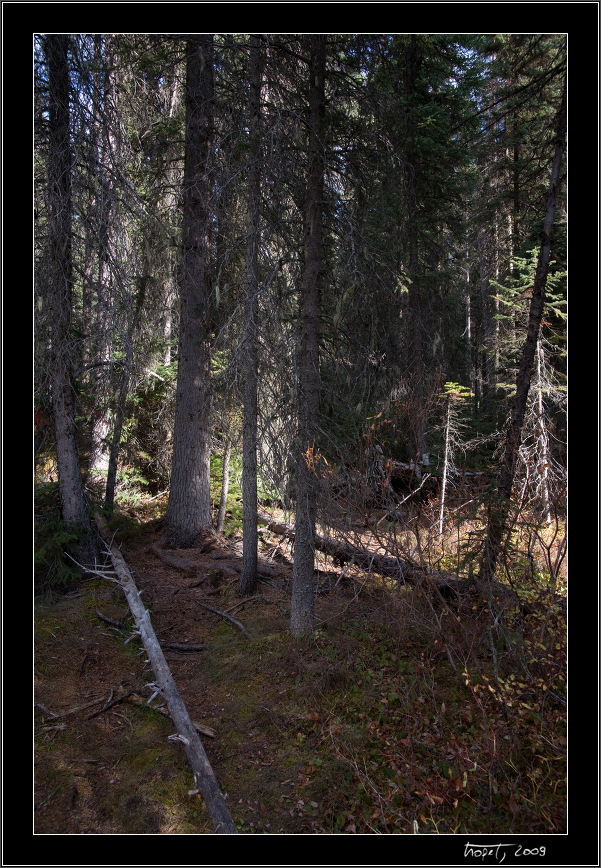 Banff, AB, photo 84 of 217, 2009, 084-_DSC5792.jpg (353,226 kB)