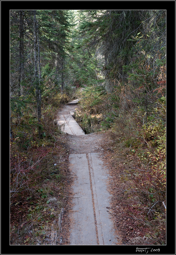 Banff, AB, photo 85 of 217, 2009, 085-_DSC5796.jpg (382,366 kB)