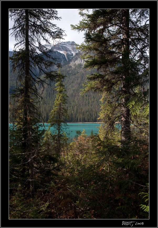 Banff, AB, photo 86 of 217, 2009, 086-_DSC5804.jpg (355,910 kB)