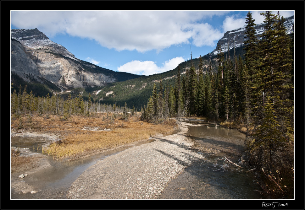 Banff, AB, photo 87 of 217, 2009, 087-_DSC5805.jpg (367,083 kB)
