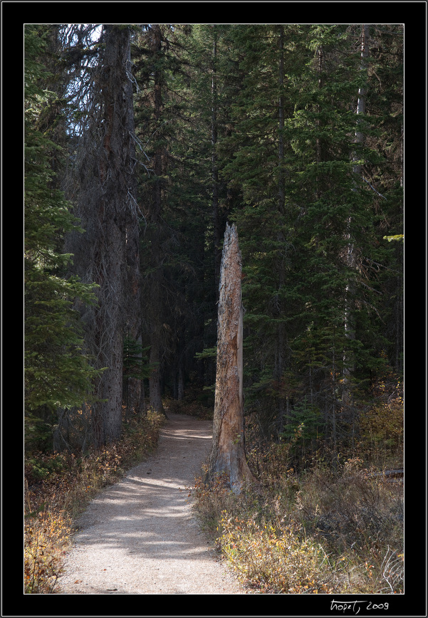 Banff, AB, photo 95 of 217, 2009, 095-_DSC5830.jpg (318,711 kB)