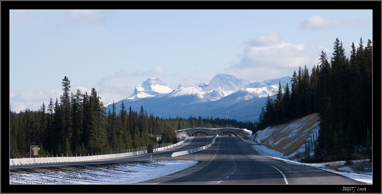 Banff, AB, photo 99 of 217, 2009, 099-_DSC5837.jpg (307,874 kB)