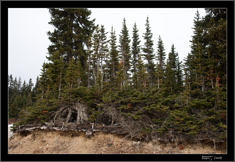 Banff, AB, photo 123 of 217, 2009, 123-_DSC5959.jpg (420,394 kB)