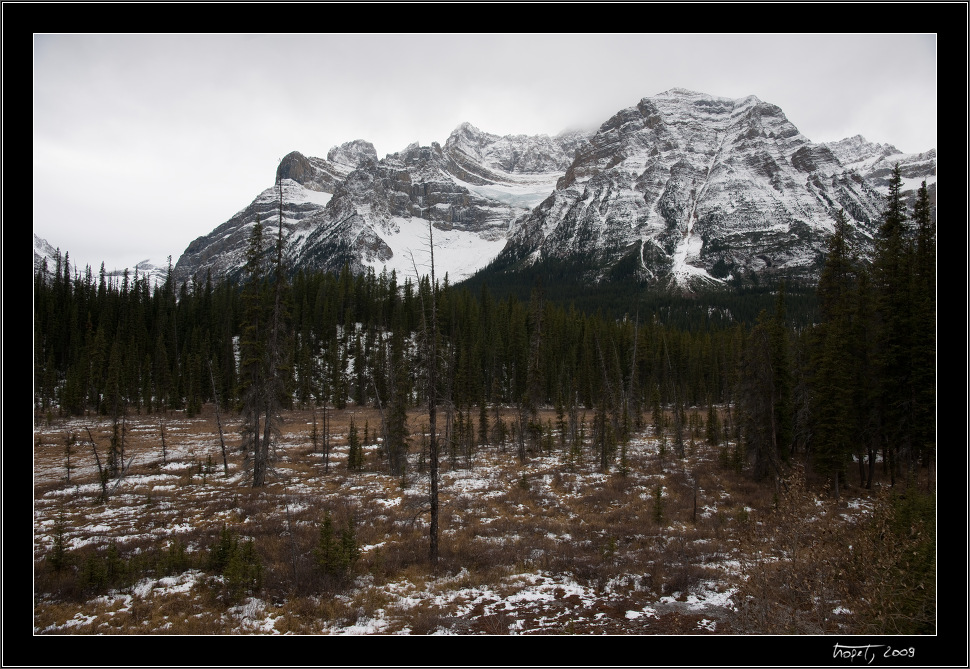 Banff, AB, photo 127 of 217, 2009, 127-_DSC5964.jpg (315,327 kB)