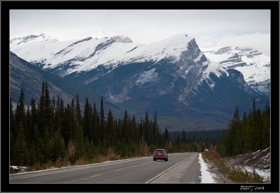 Road 93 - Icefields Parkway - From Banff to Jasper - Banff, AB, photo 129 of 217, 2009, 129-_DSC5970.jpg (253,256 kB)