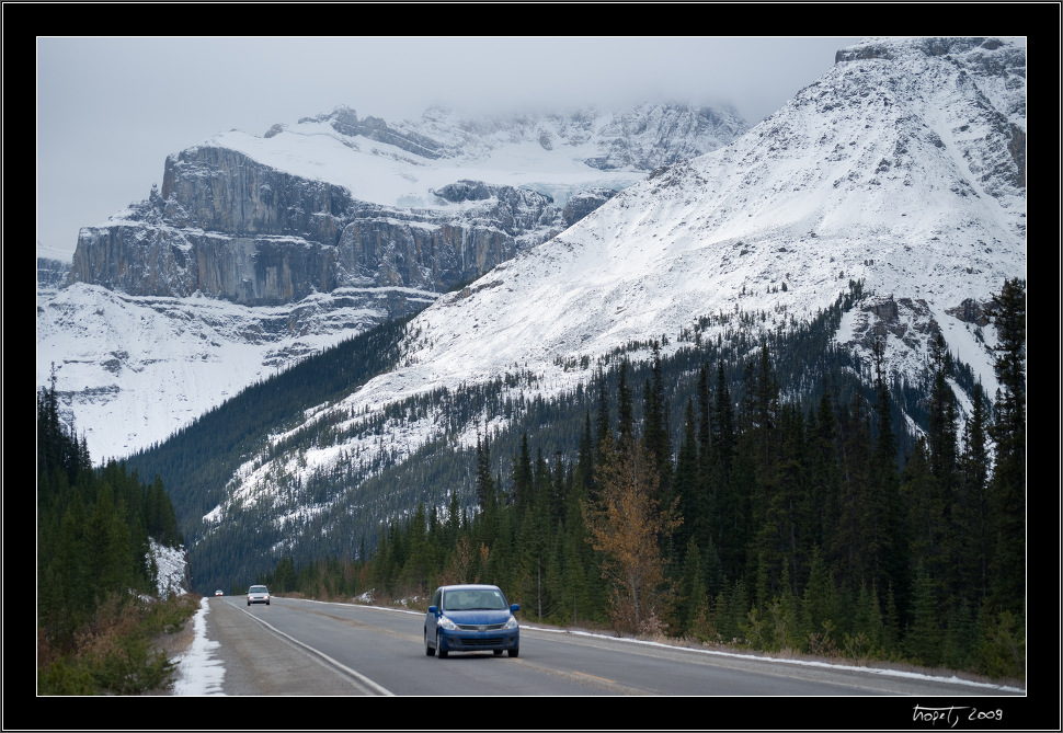 Road 93 - Icefields Parkway - From Banff to Jasper - Banff, AB, photo 130 of 217, 2009, 130-_DSC5972.jpg (309,327 kB)