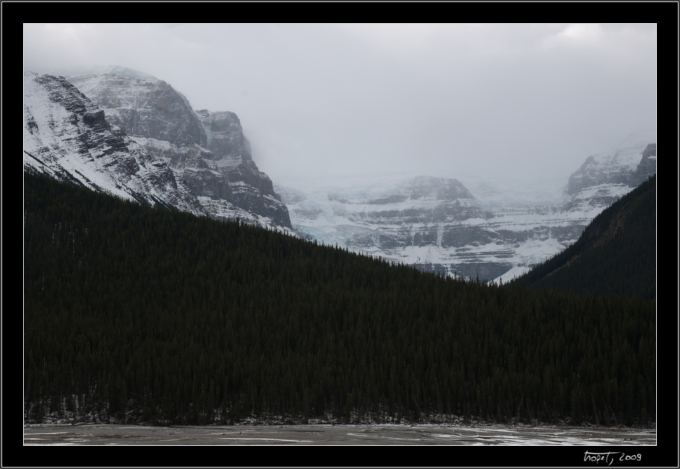 Mount Kitchener - Banff, AB, photo 149 of 217, 2009, 149-_DSC6018.jpg (186,583 kB)