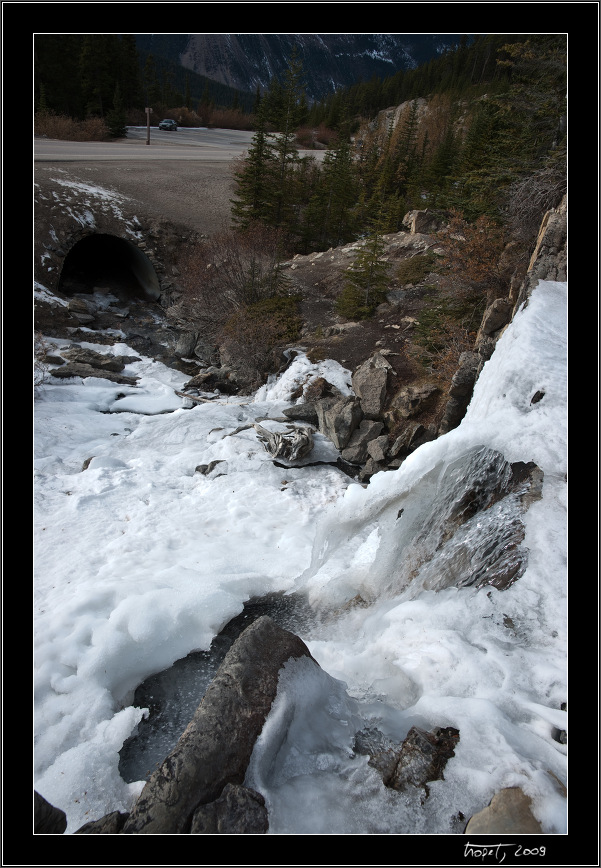 Tangle Creek Falls - Banff, AB, photo 159 of 217, 2009, 159-_DSC6042.jpg (247,711 kB)