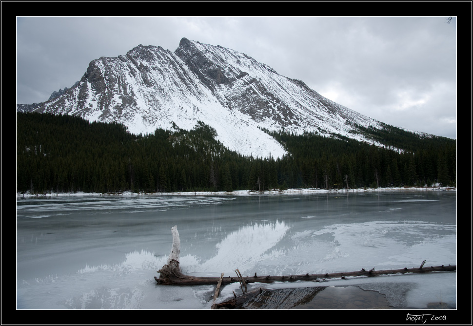 Elbow Lake - Banff, AB, photo 184 of 217, 2009, 184-_DSC6146.jpg (246,048 kB)