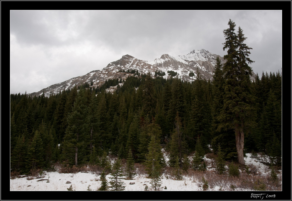 Banff, AB, photo 199 of 217, 2009, 199-_DSC6177.jpg (279,792 kB)