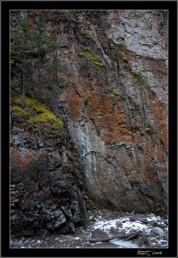 King Creek - Banff, AB, photo 201 of 217, 2009, 201-_DSC6184.jpg (379,852 kB)