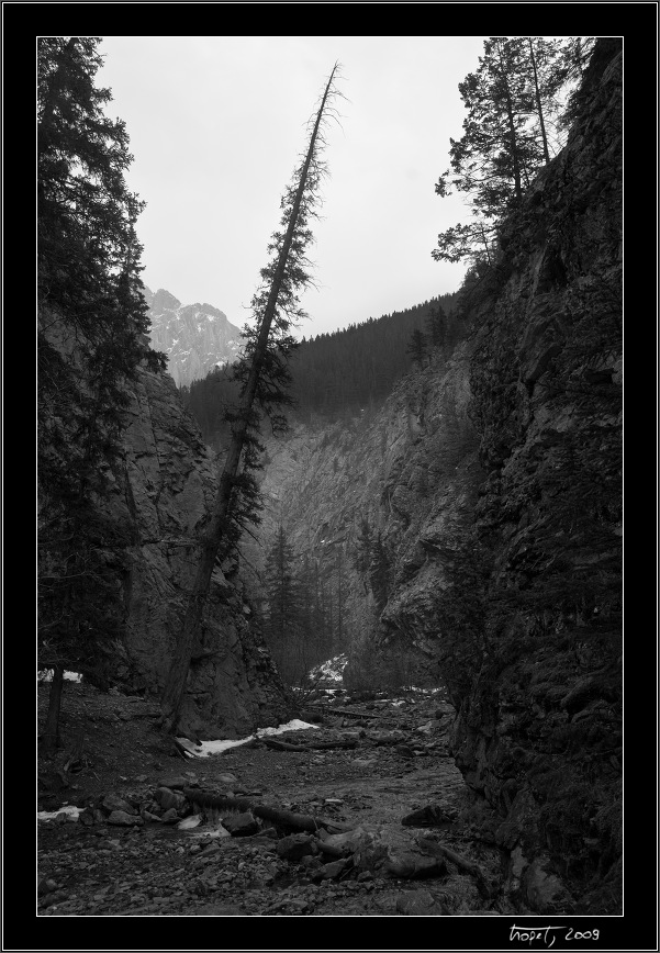 Banff, AB, photo 204 of 217, 2009, 204-_DSC6188.jpg (232,209 kB)