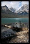 Emerald Lake, Yoho National Park, BC - Banff, AB, thumbnail 78 of 217, 2009, 078-_DSC5771.jpg (254,839 kB)