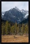 President Range towering above Emerald Basin - Banff, AB, thumbnail 90 of 217, 2009, 090-_DSC5809.jpg (282,503 kB)