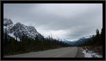 Road 93 - From Banff to Jasper - Banff, AB, thumbnail 126 of 217, 2009, 126-_DSC5963.jpg (158,994 kB)