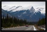 Road 93 - Icefields Parkway - From Banff to Jasper - Banff, AB, thumbnail 129 of 217, 2009, 129-_DSC5970.jpg (253,256 kB)