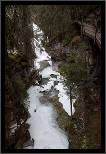 Johnston Canyon - Banff, AB, thumbnail 162 of 217, 2009, 162-_DSC6050.jpg (281,881 kB)