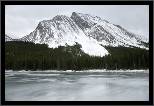 Elbow Lake - Banff, AB, thumbnail 183 of 217, 2009, 183-_DSC6144.jpg (256,408 kB)