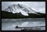 Elbow Lake - Banff, AB, thumbnail 184 of 217, 2009, 184-_DSC6146.jpg (246,048 kB)