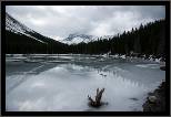 Elbow Lake - Banff, AB, thumbnail 186 of 217, 2009, 186-_DSC6155.jpg (199,884 kB)