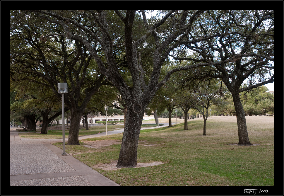 Texas A&M University - Texas A&M University - College Station, TX, photo 28 of 62, 2009, _DSC3226.jpg (408,386 kB)