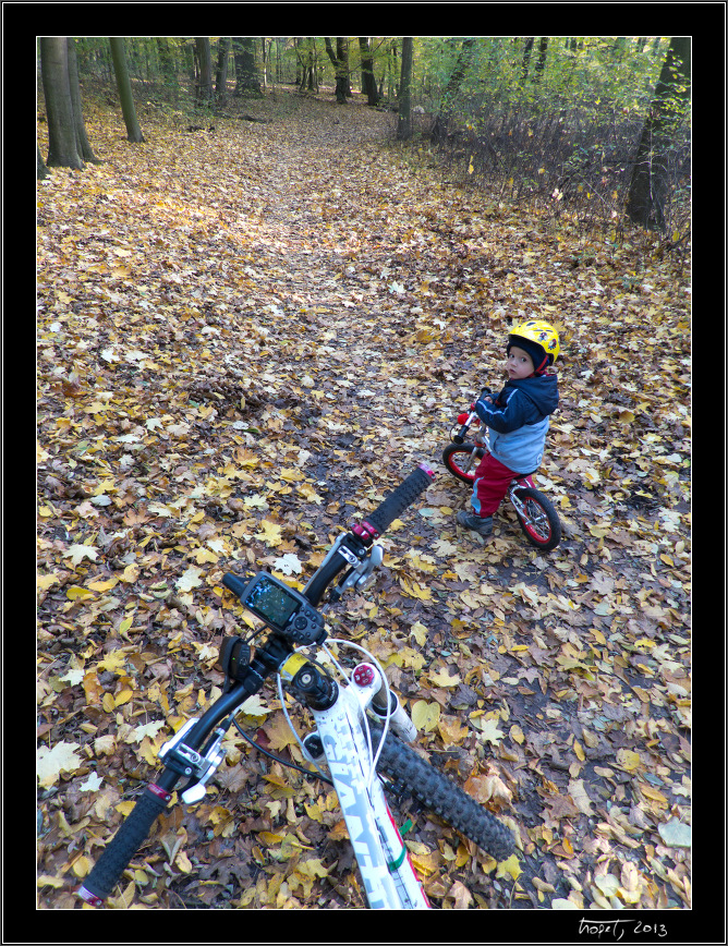 Podzimní Lednice - Lednice in Fall, photo 4 of 4, 2013, IMG_3205.jpg (488,510 kB)