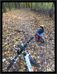 Podzimní Lednice - Lednice in Fall, thumbnail 4 of 4, 2013, IMG_3205.jpg (488,510 kB)