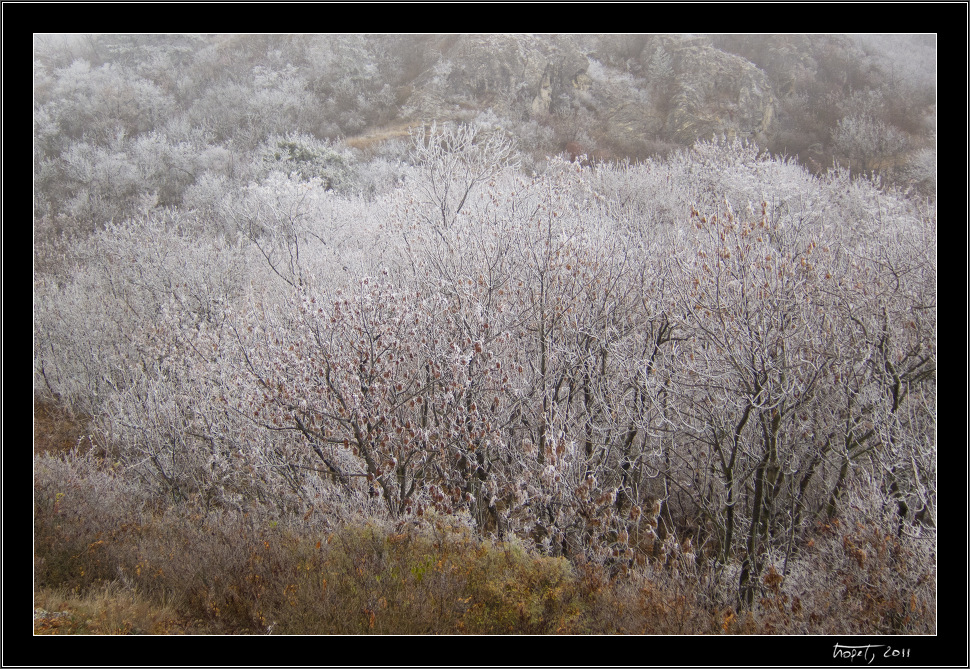 Z podzimu do zimy... / From Fall to Winter..., photo 3 of 12, 2011, IMG_0857.jpg (402,646 kB)