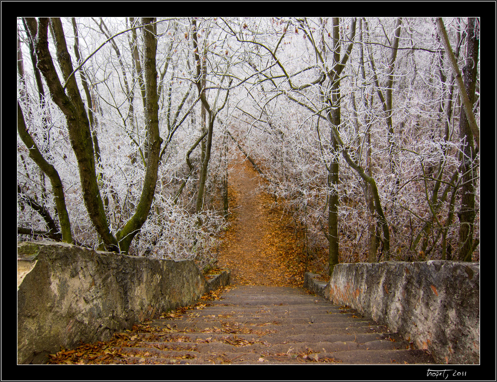 Z podzimu do zimy... / From Fall to Winter..., photo 12 of 12, 2011, IMG_0877.jpg (621,037 kB)