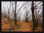 Z podzimu do zimy... / From Fall to Winter..., thumbnail 1 of 12, 2011, IMG_0855.jpg (624,380 kB)
