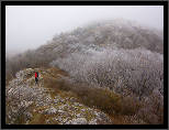 Z podzimu do zimy... / From Fall to Winter..., thumbnail 2 of 12, 2011, IMG_0856.jpg (370,345 kB)
