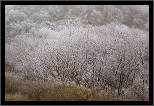 Z podzimu do zimy... / From Fall to Winter..., thumbnail 3 of 12, 2011, IMG_0857.jpg (402,646 kB)