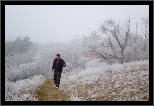 Z podzimu do zimy... / From Fall to Winter..., thumbnail 10 of 12, 2011, IMG_0874.jpg (279,947 kB)