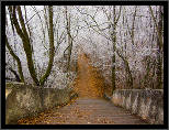 Z podzimu do zimy... / From Fall to Winter..., thumbnail 12 of 12, 2011, IMG_0877.jpg (621,037 kB)