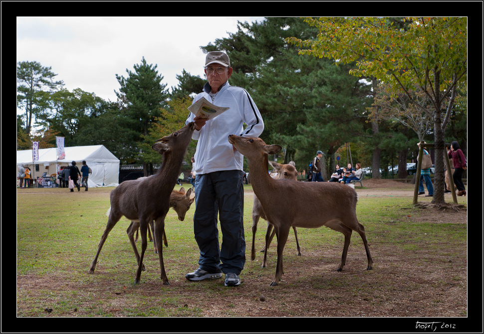 Nara, Japonsko / Nara, Japan, photo 10 of 224, 2012, DSC01873.jpg (344,512 kB)