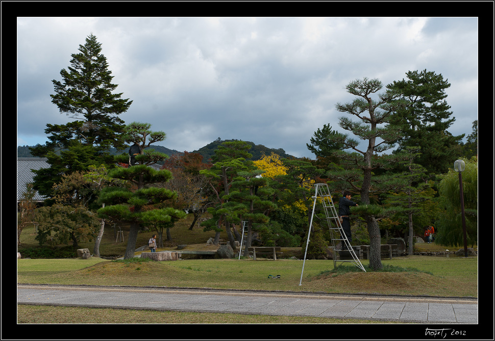 Nara, Japonsko / Nara, Japan, photo 15 of 224, 2012, DSC01891.jpg (294,735 kB)
