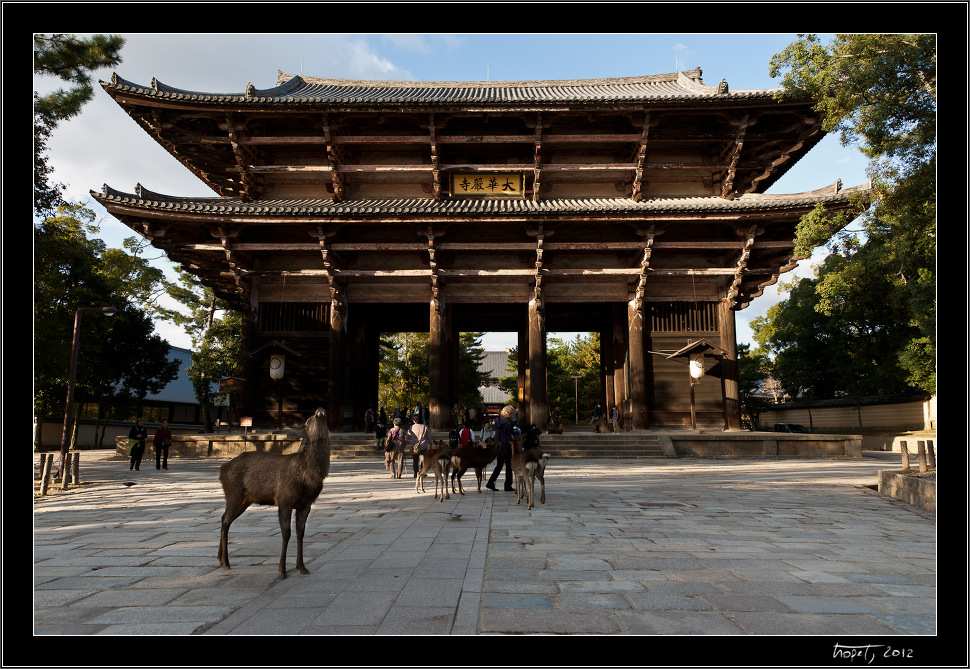 Nara, Japonsko / Nara, Japan, photo 19 of 224, 2012, DSC01903.jpg (327,612 kB)