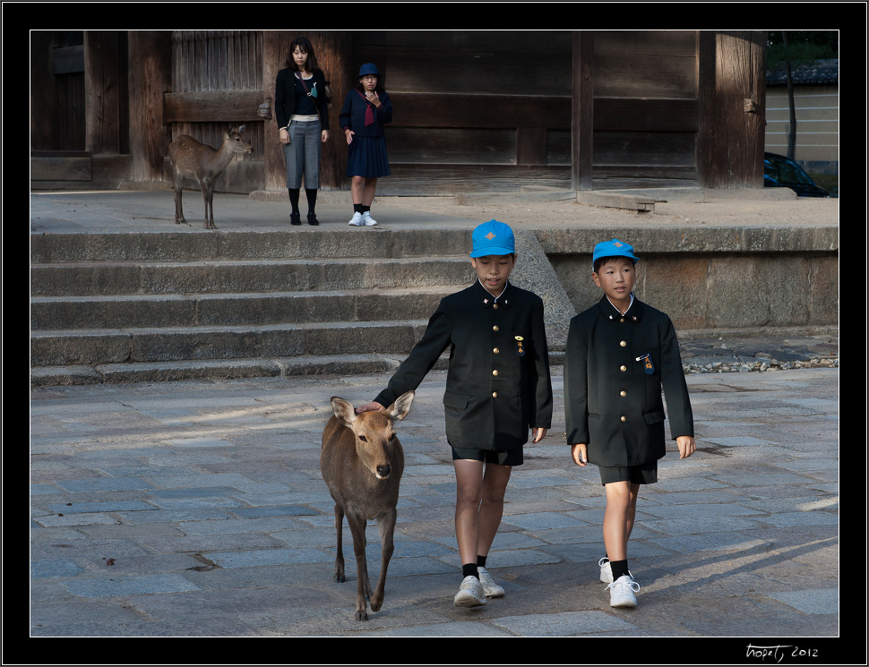 Nara, Japonsko / Nara, Japan, photo 25 of 224, 2012, DSC01934.jpg (278,785 kB)