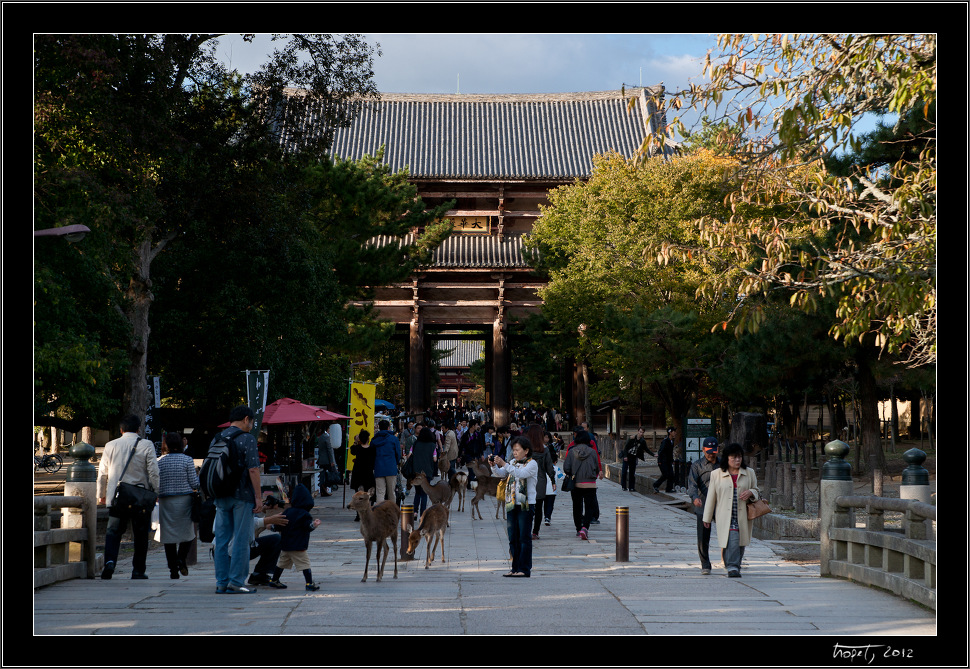 Nara, Japonsko / Nara, Japan, photo 26 of 224, 2012, DSC01964.jpg (365,334 kB)