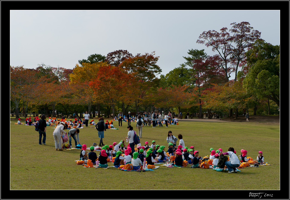 Nara, Japonsko / Nara, Japan, photo 51 of 224, 2012, DSC02166.jpg (358,896 kB)