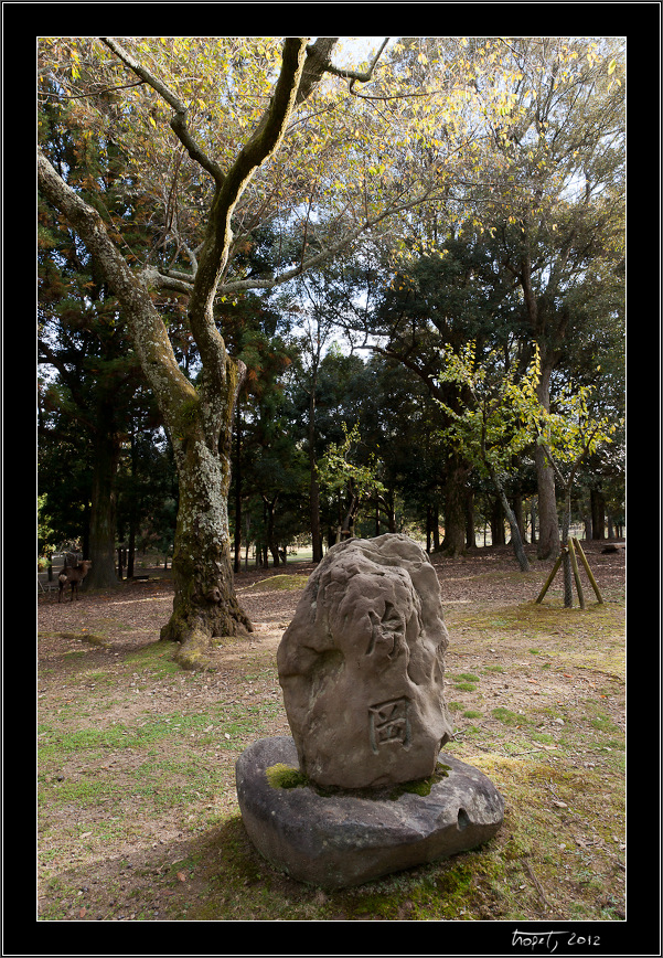 Nara, Japonsko / Nara, Japan, photo 155 of 224, 2012, DSC02634.jpg (383,991 kB)