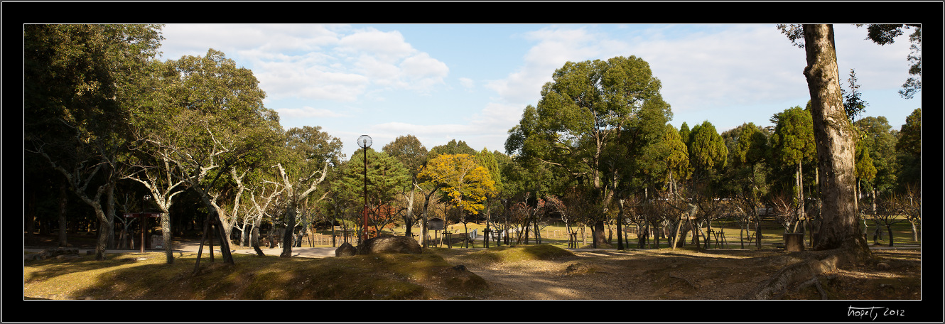 Nara, Japonsko / Nara, Japan, photo 158 of 224, 2012, DSC02640.jpg (342,943 kB)