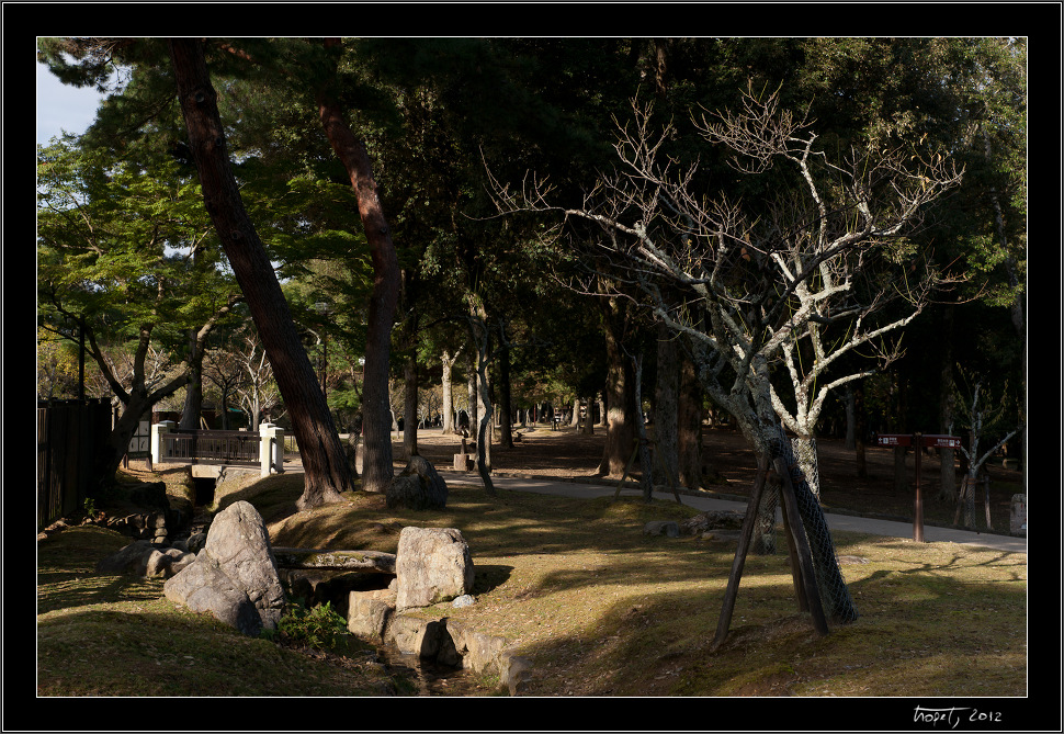 Nara, Japonsko / Nara, Japan, photo 159 of 224, 2012, DSC02643.jpg (364,656 kB)