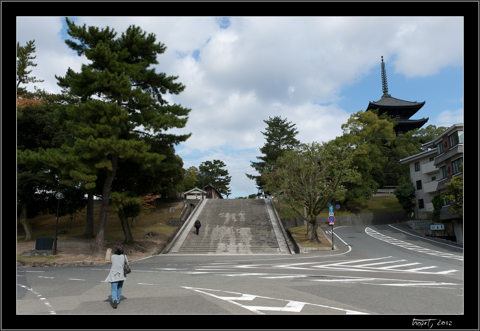 Nara, Japonsko / Nara, Japan, photo 172 of 224, 2012, DSC02683.jpg (246,665 kB)