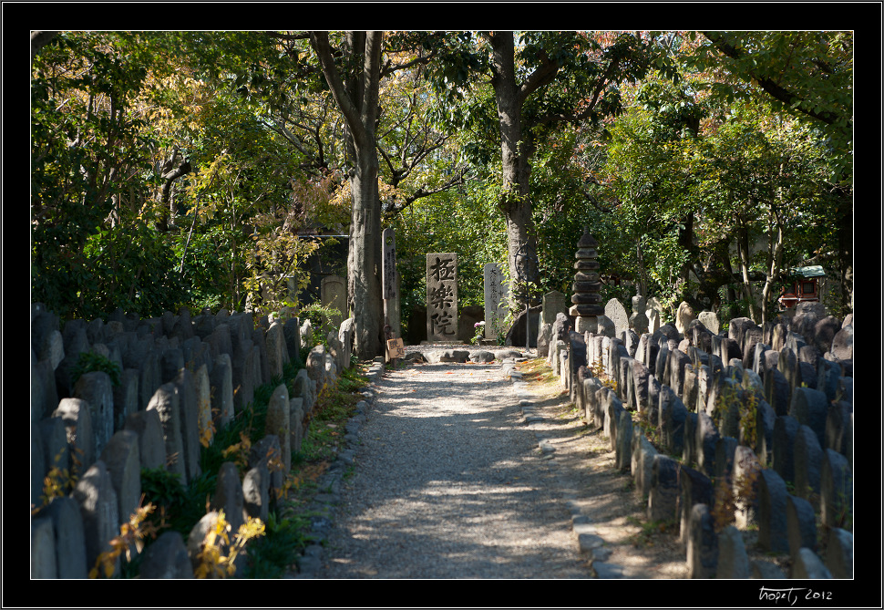 Nara, Japonsko / Nara, Japan, photo 196 of 224, 2012, DSC02772.jpg (429,049 kB)