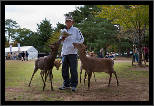 Nara, Japonsko / Nara, Japan, thumbnail 10 of 224, 2012, DSC01873.jpg (344,512 kB)
