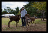 Nara, Japonsko / Nara, Japan, thumbnail 12 of 224, 2012, DSC01879.jpg (348,876 kB)